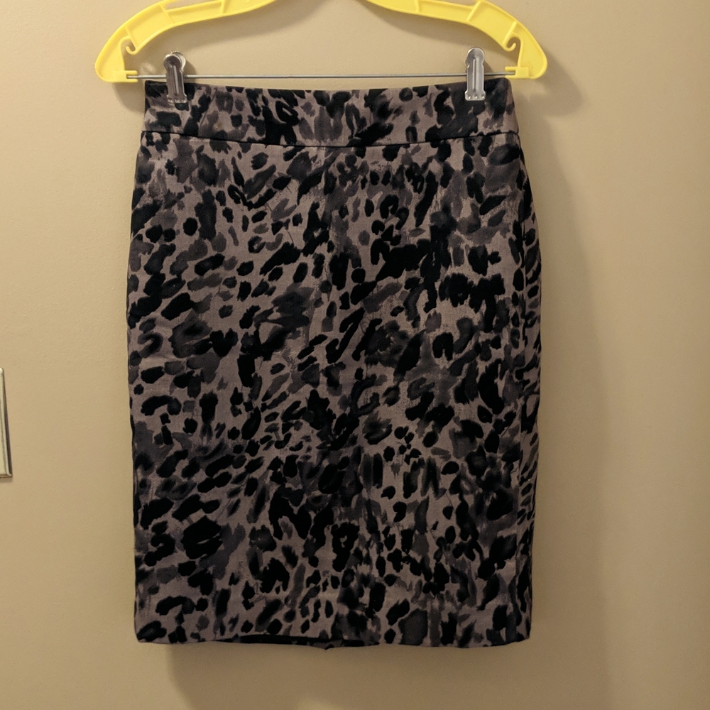 Ann Taylor skirt